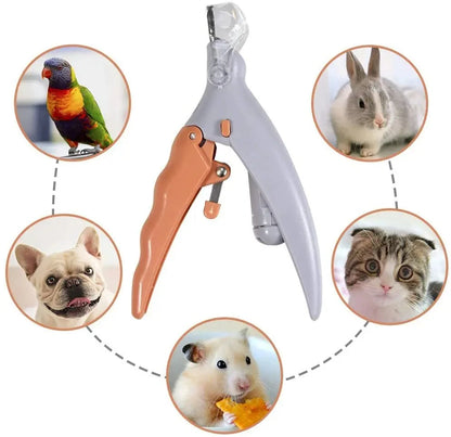 Professional Pet Nail Clipper Scissors With LED Light Cat Dog Nail Clippers Tool Scissors Nail Toeclaw Cutter Scissors Pet Suppl - Friends & Co.