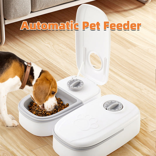 Automatic Pet Feeder Smart Food Dispenser For Cats Dogs Timer Stainless Steel Bowl Auto Dog Cat Pet Feeding Pets Supplies - Friends & Co.